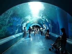 海中トンネル