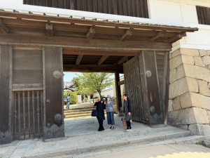 IMG_3294