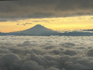 IMG_8529