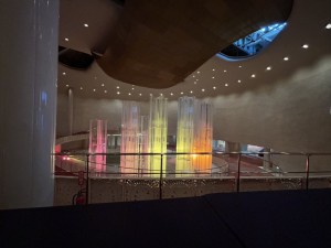 IMG_8538